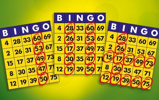 Bingo Spielanleitung