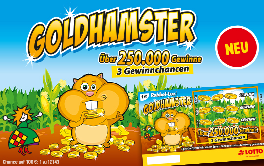 Rubbel-Luzi Goldhamster