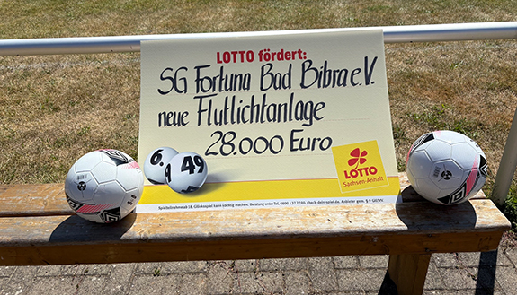 symbolischer F&ouml;rderscheck mit zwei Fu&szlig;b&auml;llen