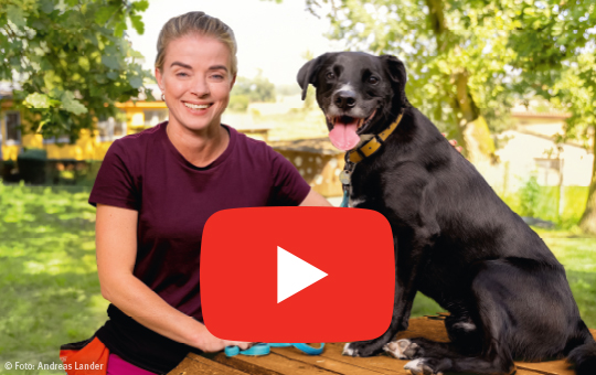 LOTTO f&ouml;rdert den Altm&auml;rkischen Tierschutzbverein